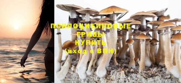 ПСИЛОЦИБИНОВЫЕ ГРИБЫ Алексин