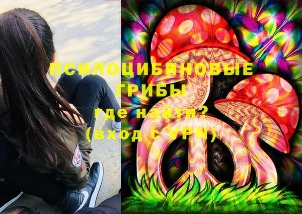 ПСИЛОЦИБИНОВЫЕ ГРИБЫ Алексин